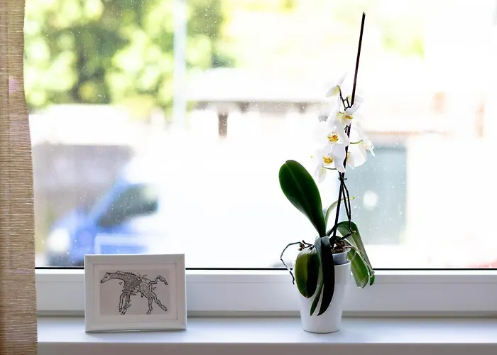 Brouwersvaart Panzió *