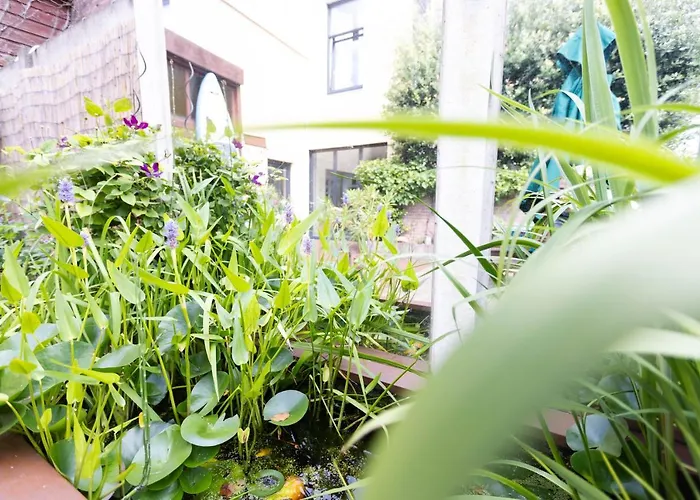 Panzió Brouwersvaart